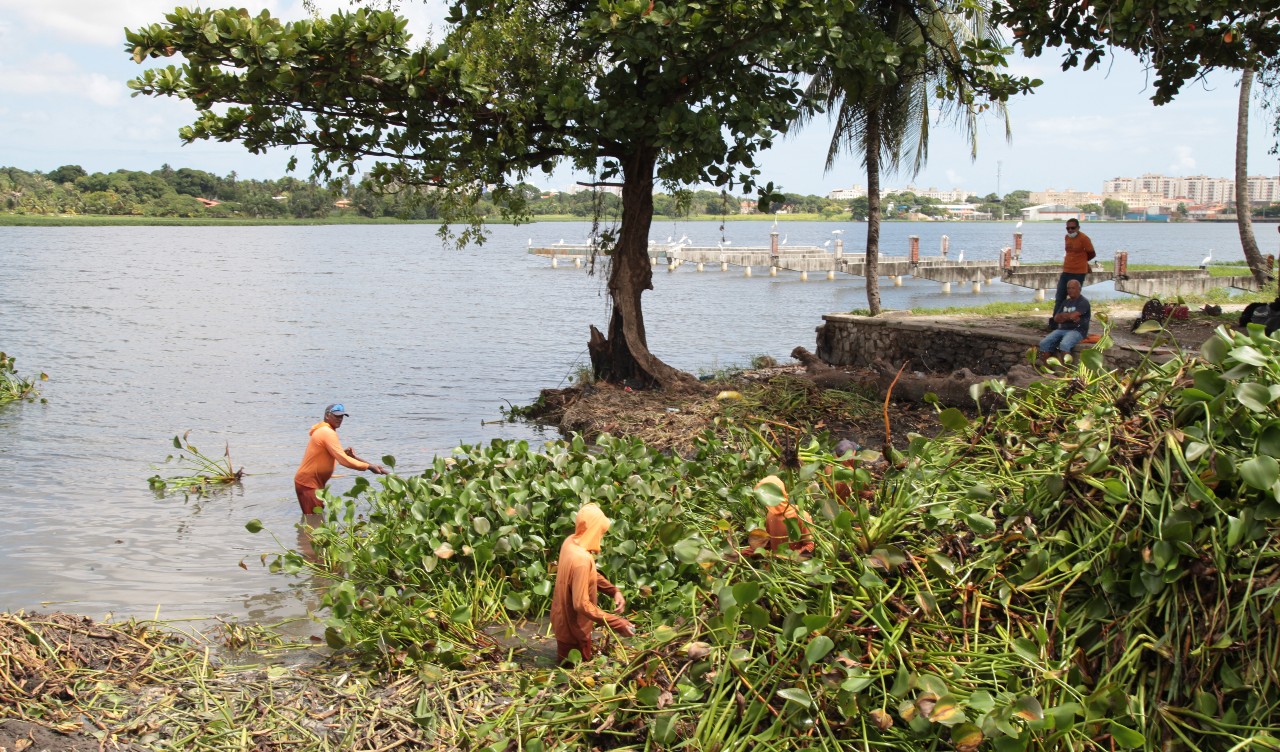 operários limpam uma lagoa